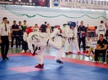 Cupa Internaţională de Taekwon-Do