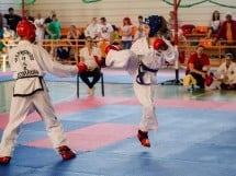 Cupa Internaţională de Taekwon-Do