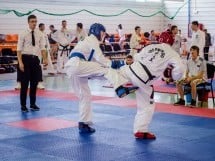 Cupa Internaţională de Taekwon-Do