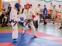 Cupa Internaţională de Taekwon-Do