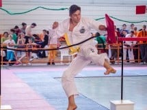 Cupa Internaţională de Taekwon-Do