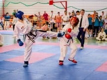 Cupa Internaţională de Taekwon-Do