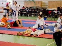 Cupa Internaţională de Taekwon-Do