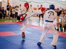 Cupa Internaţională de Taekwon-Do