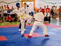 Cupa Internaţională de Taekwon-Do