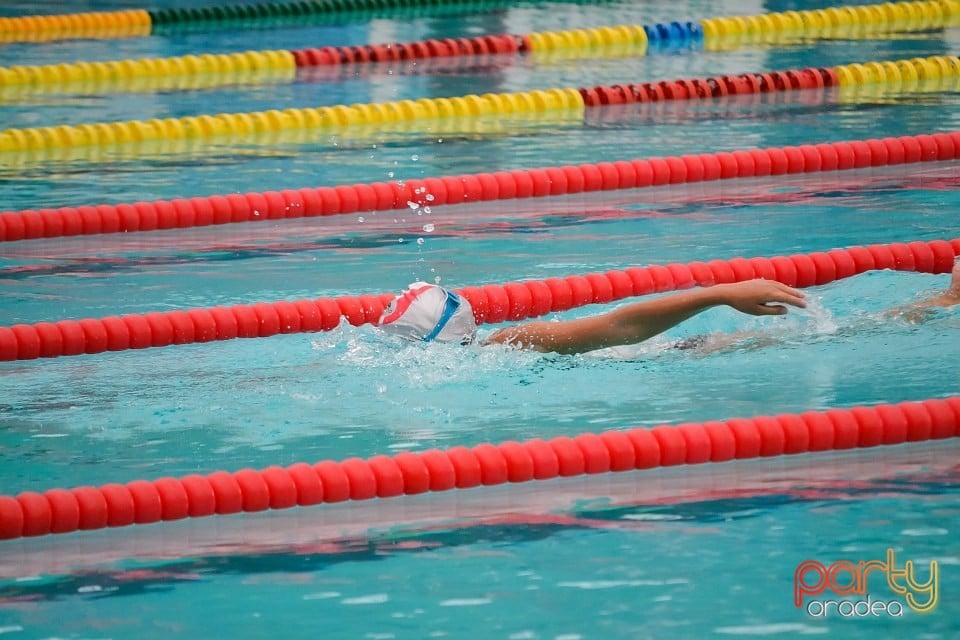 Cupa Toamna Orădeană, Bazinul Olimpic Ioan Alexandrescu