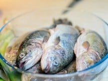 Curs de gătit