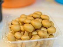 Curs de gătit