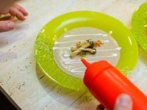 Curs de gătit