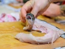 Curs de gătit