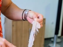 Curs de gătit