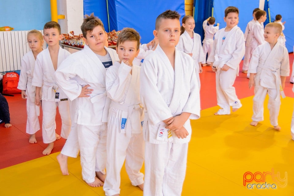 Demonstratia micilor Judoka, Liceul cu Program Sportiv