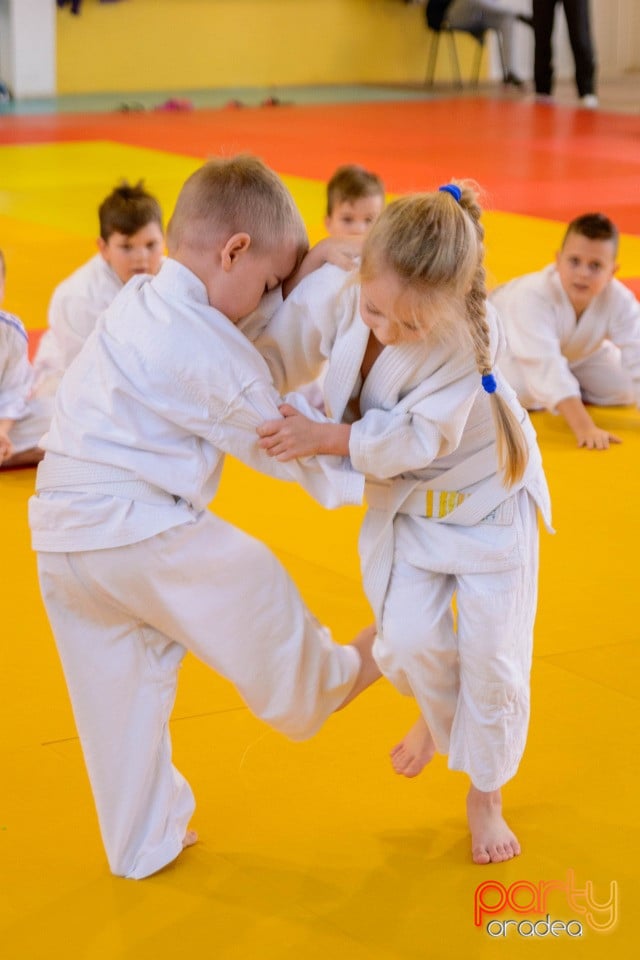 Demonstratia micilor Judoka, Liceul cu Program Sportiv