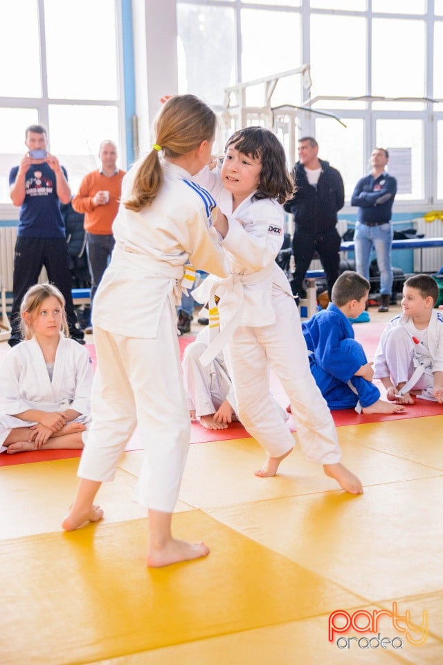 Demonstratia micilor Judoka, Liceul cu Program Sportiv