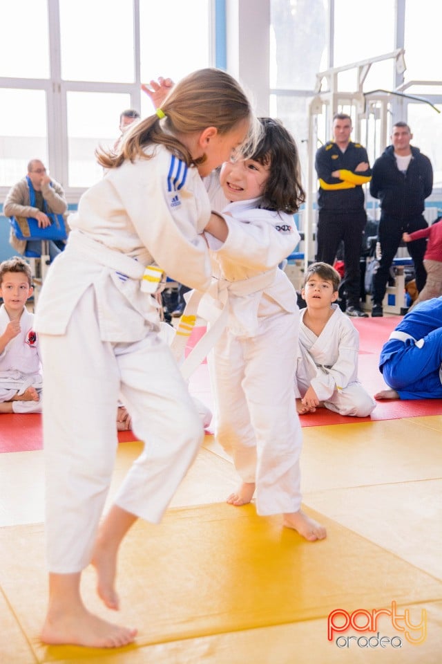 Demonstratia micilor Judoka, Liceul cu Program Sportiv