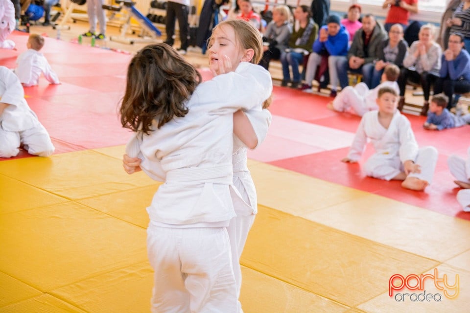 Demonstratia micilor Judoka, Liceul cu Program Sportiv