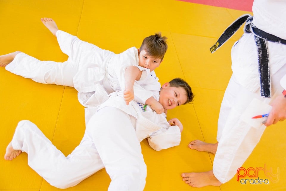 Demonstratia micilor Judoka, Liceul cu Program Sportiv