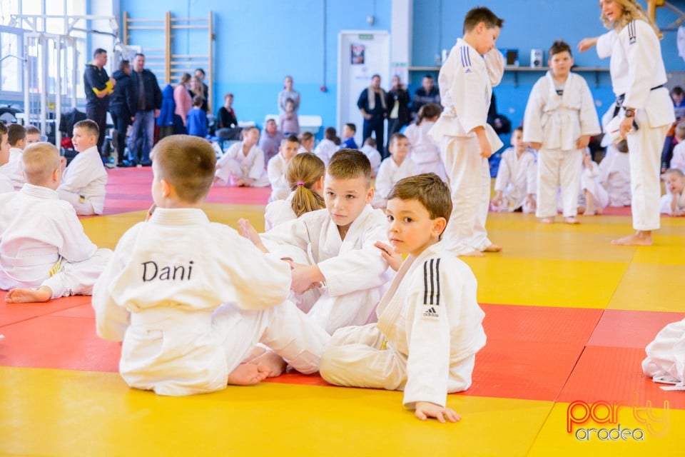 Demonstratia micilor Judoka, Liceul cu Program Sportiv