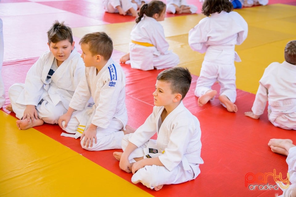 Demonstratia micilor Judoka, Liceul cu Program Sportiv