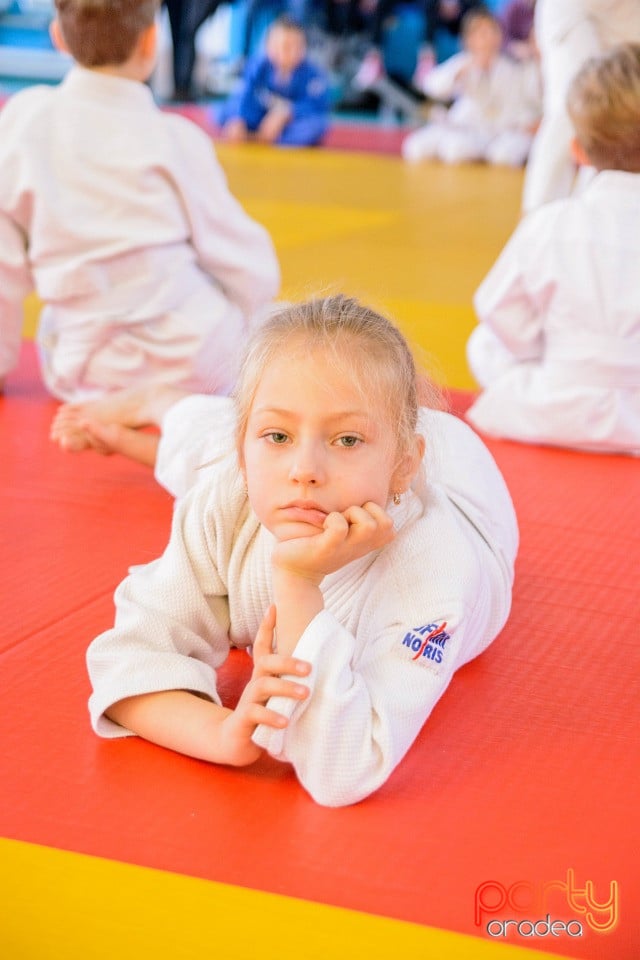 Demonstratia micilor Judoka, Liceul cu Program Sportiv