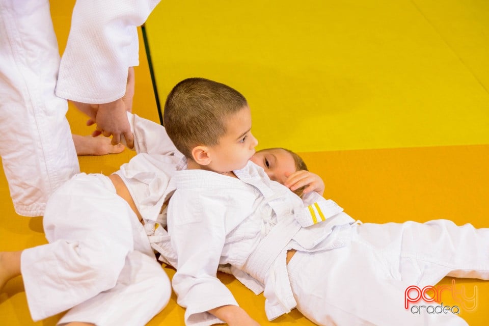 Demonstratia micilor Judoka, Liceul cu Program Sportiv