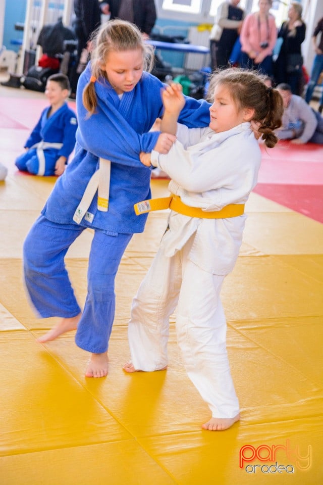 Demonstratia micilor Judoka, Liceul cu Program Sportiv