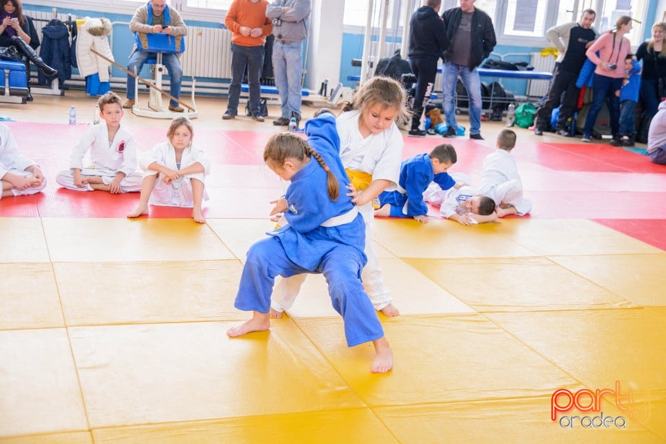 Demonstratia micilor Judoka, Liceul cu Program Sportiv