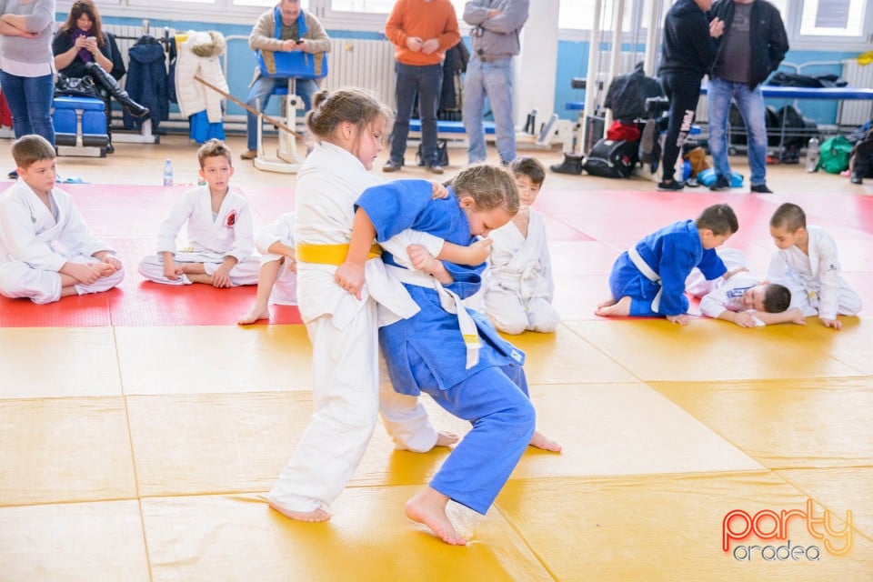 Demonstratia micilor Judoka, Liceul cu Program Sportiv