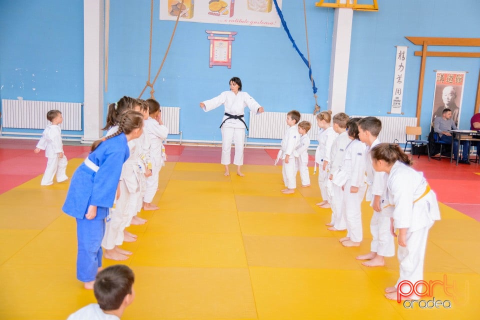 Demonstratia micilor Judoka, Liceul cu Program Sportiv