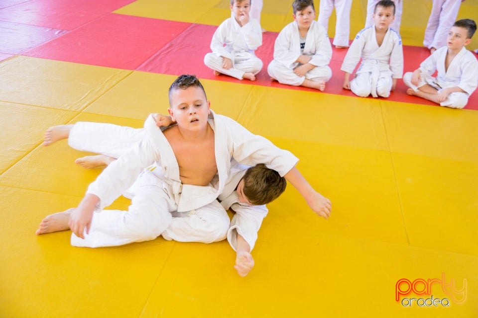 Demonstratia micilor Judoka, Liceul cu Program Sportiv