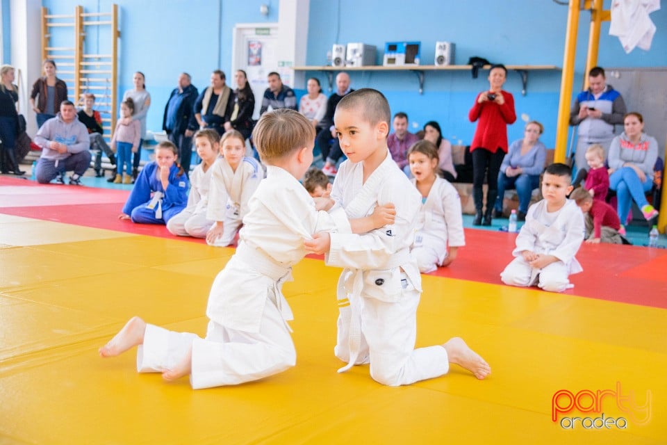 Demonstratia micilor Judoka, Liceul cu Program Sportiv