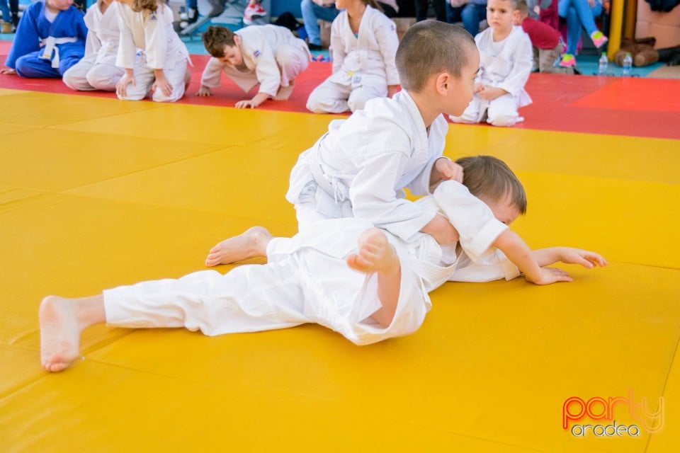 Demonstratia micilor Judoka, Liceul cu Program Sportiv