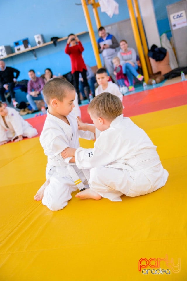 Demonstratia micilor Judoka, Liceul cu Program Sportiv