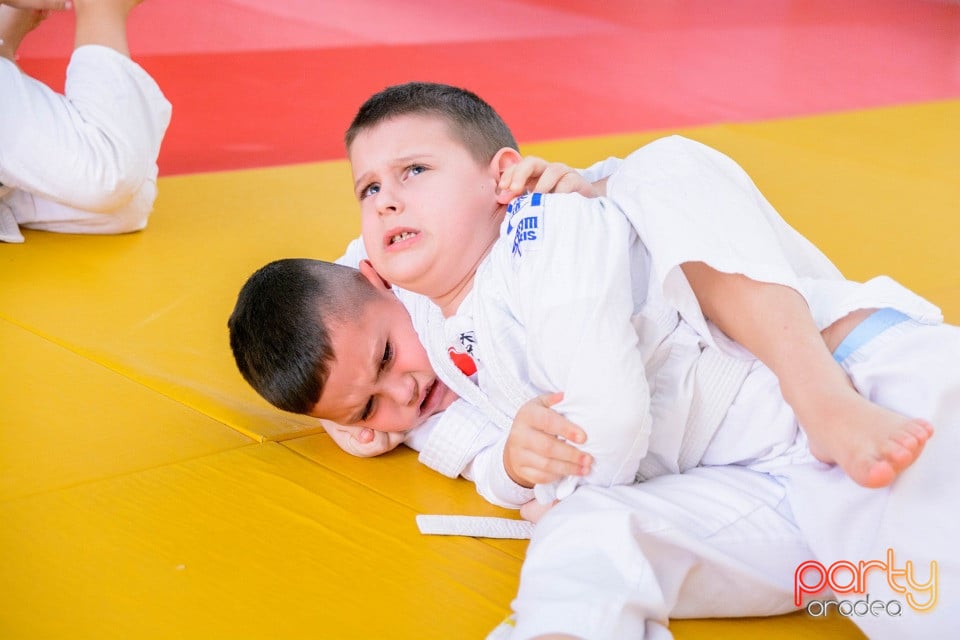 Demonstratia micilor Judoka, Liceul cu Program Sportiv