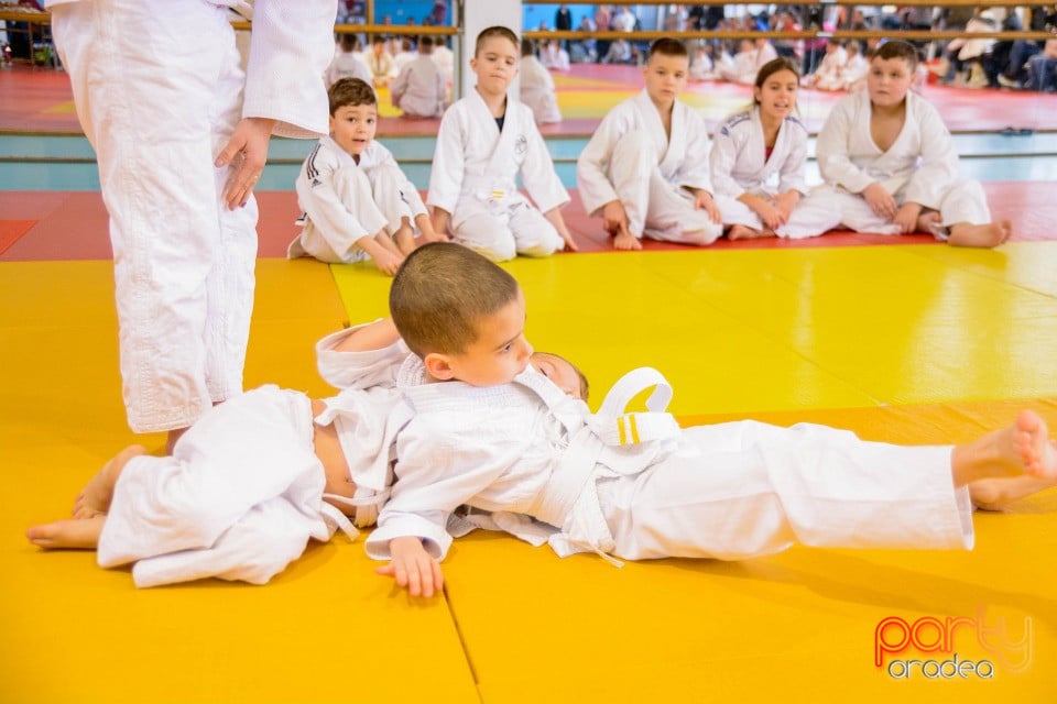 Demonstratia micilor Judoka, Liceul cu Program Sportiv