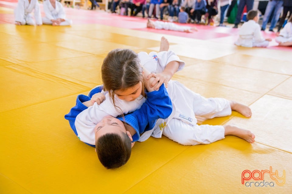 Demonstratia micilor Judoka, Liceul cu Program Sportiv