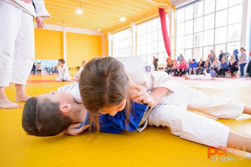 Demonstratia micilor Judoka, Liceul cu Program Sportiv