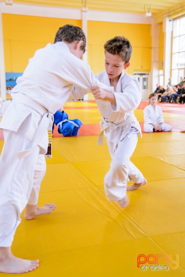 Demonstratia micilor Judoka, Liceul cu Program Sportiv