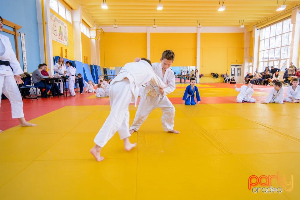 Demonstratia micilor Judoka, Liceul cu Program Sportiv