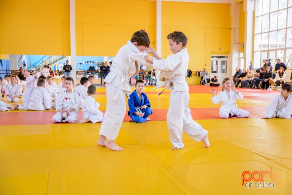 Demonstratia micilor Judoka, Liceul cu Program Sportiv