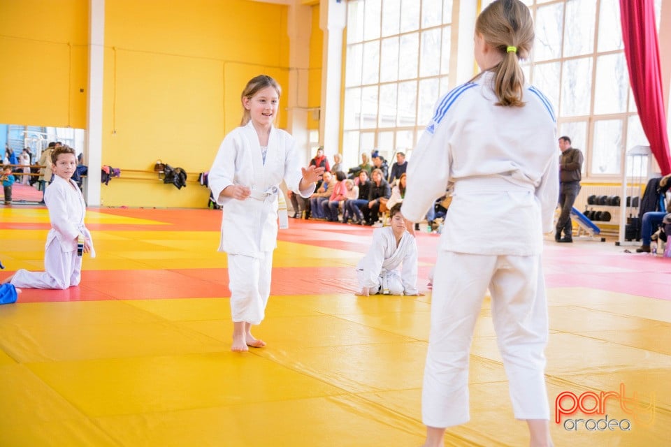 Demonstratia micilor Judoka, Liceul cu Program Sportiv