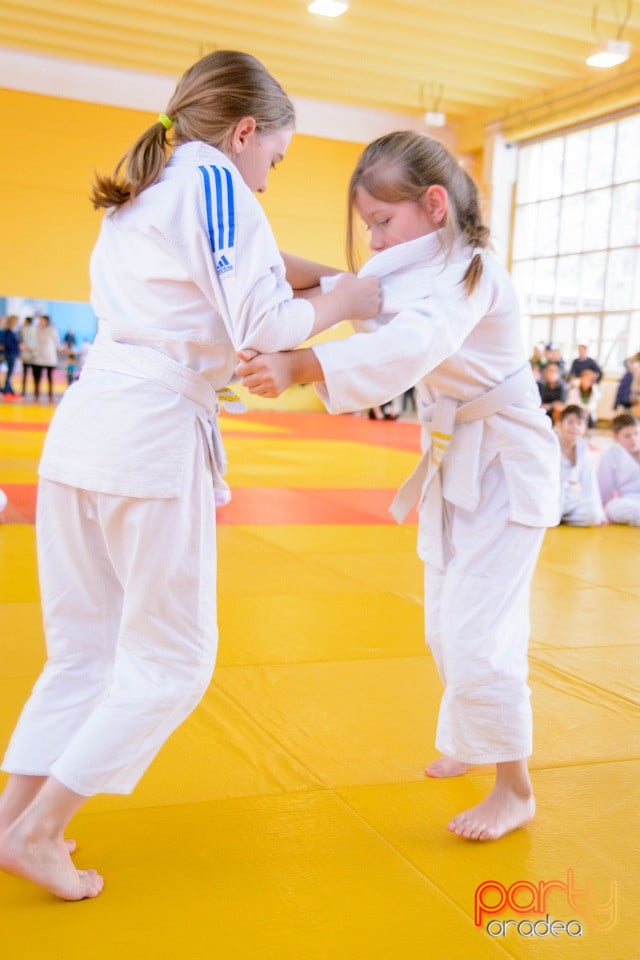 Demonstratia micilor Judoka, Liceul cu Program Sportiv