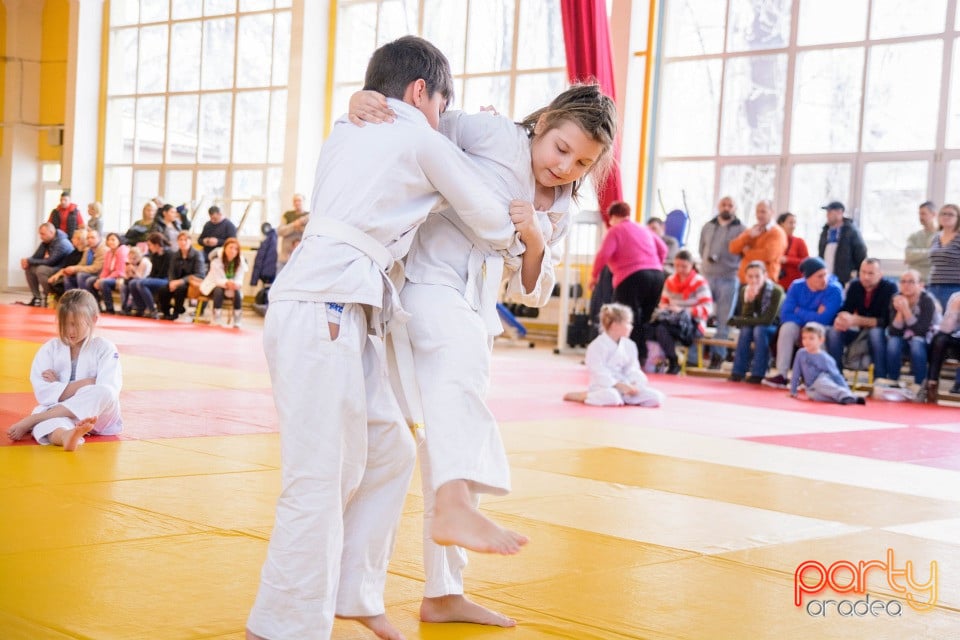 Demonstratia micilor Judoka, Liceul cu Program Sportiv