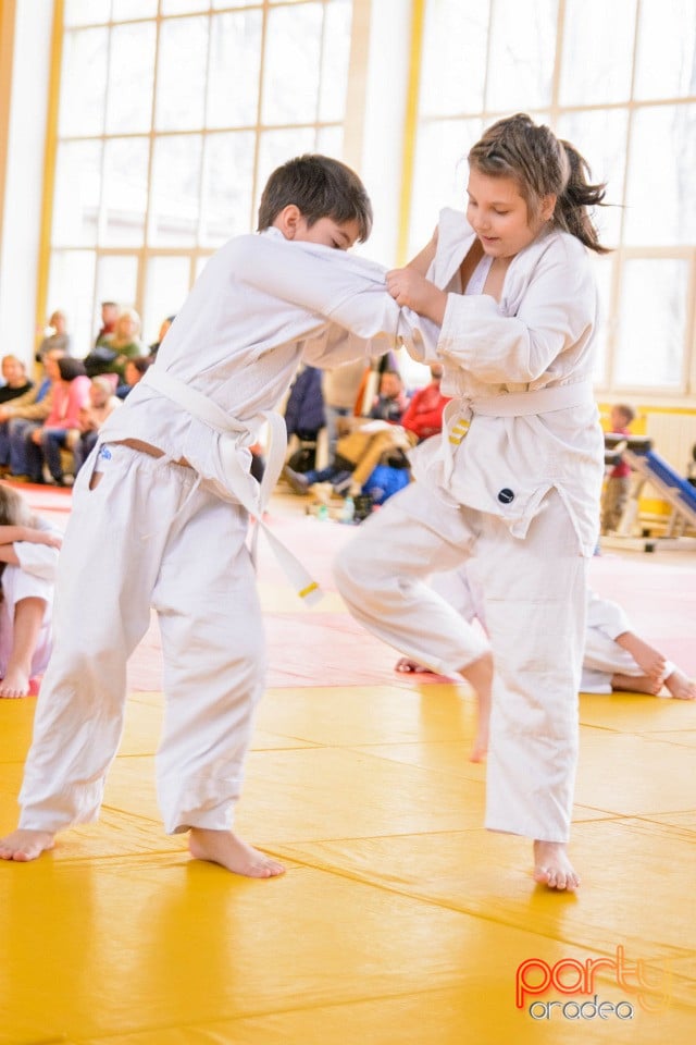 Demonstratia micilor Judoka, Liceul cu Program Sportiv