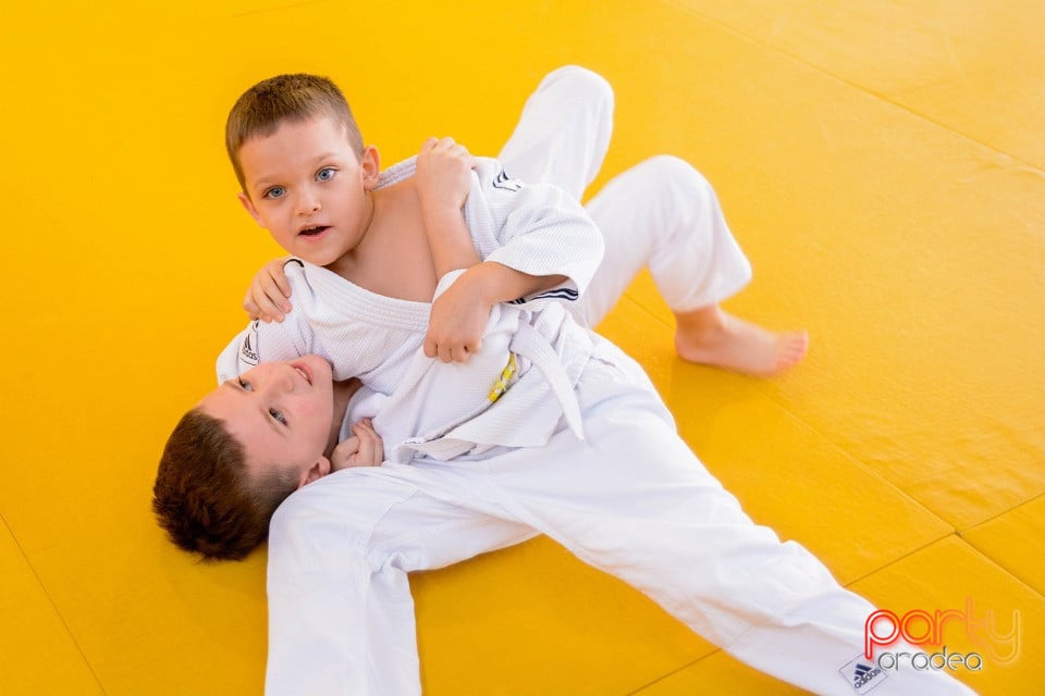 Demonstratia micilor Judoka, Liceul cu Program Sportiv