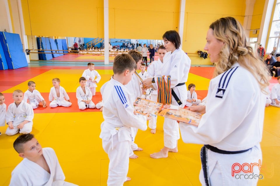 Demonstratia micilor Judoka, Liceul cu Program Sportiv