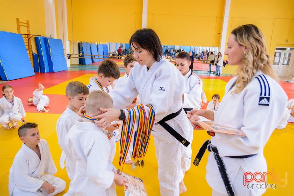 Demonstratia micilor Judoka, Liceul cu Program Sportiv