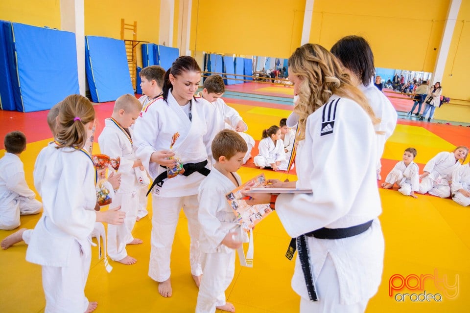 Demonstratia micilor Judoka, Liceul cu Program Sportiv