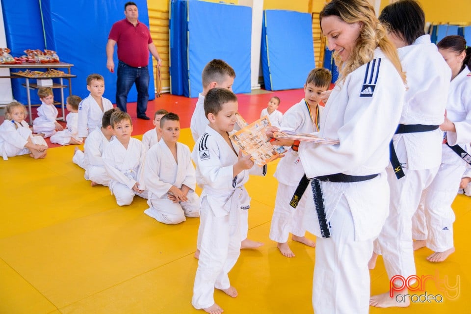 Demonstratia micilor Judoka, Liceul cu Program Sportiv