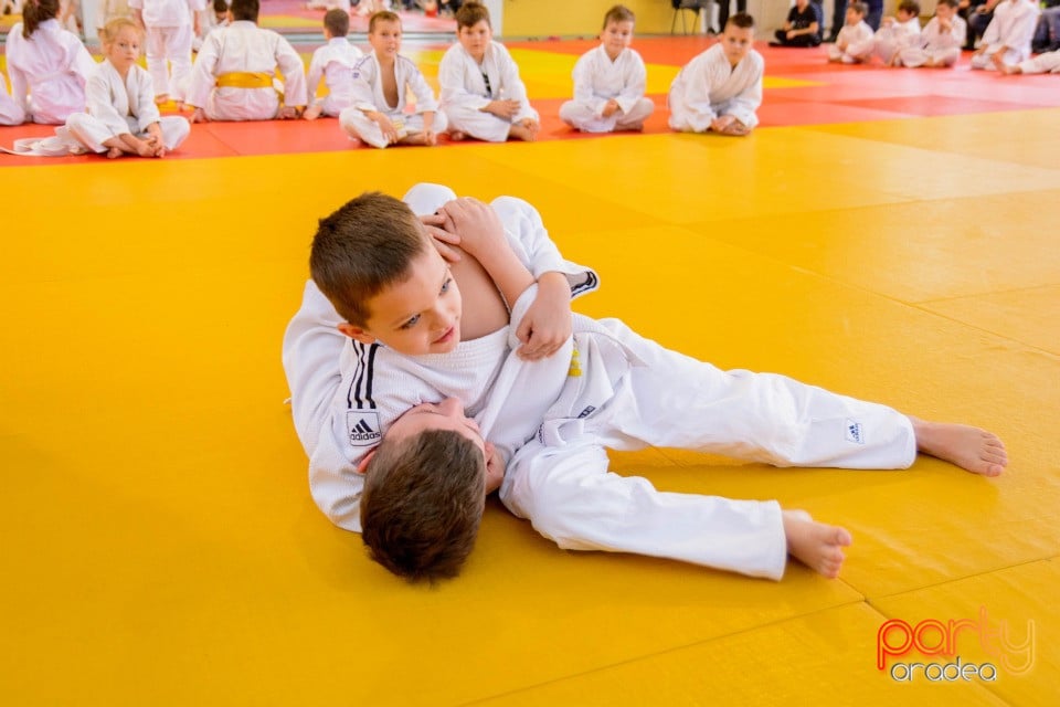 Demonstratia micilor Judoka, Liceul cu Program Sportiv